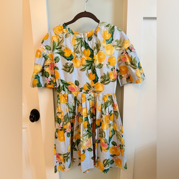 Cara Cara Carla Dress Country Air Lemon Citrus pattern sz 2 - Picture 2 of 4